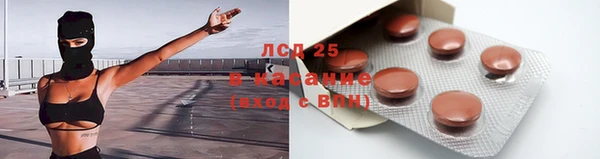 твердый Краснослободск