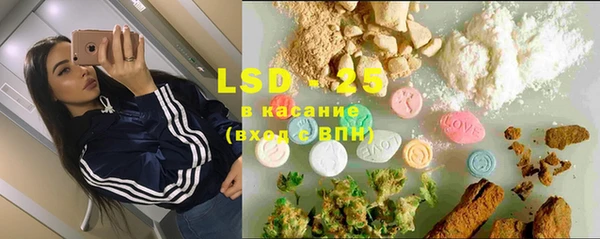 стафф Аркадак