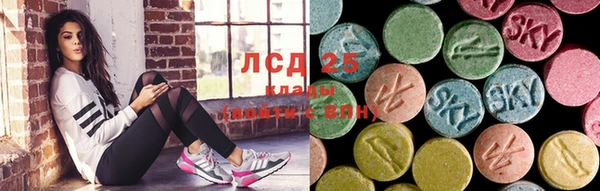 стафф Аркадак
