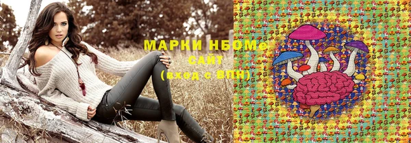 стафф Аркадак