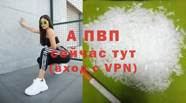 стафф Аркадак