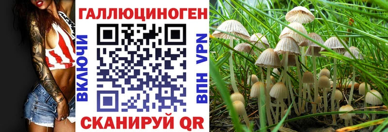 это Telegram  Рыбное  Галлюциногенные грибы ЛСД 
